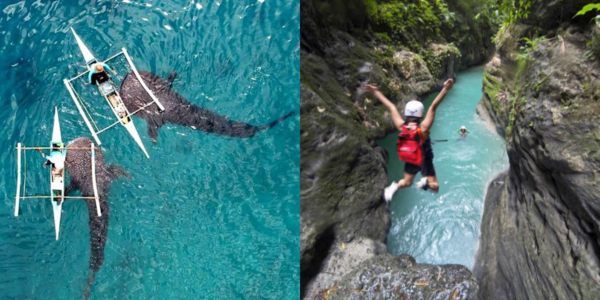 Best-selling tours in Cebu: Swimming with the Whalesharks in Oslob and Canyoneering in Kawasan Falls, Badian